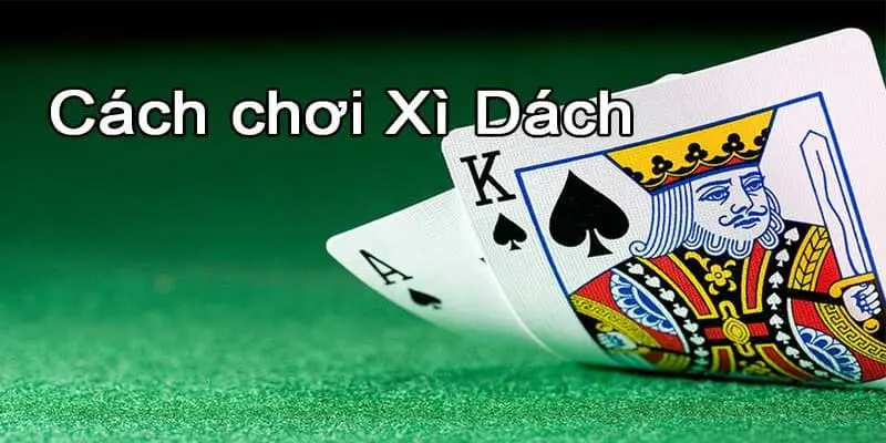 Game bài xì dách 23WIN là sự lựa chọn đầu tiên của các hội viên