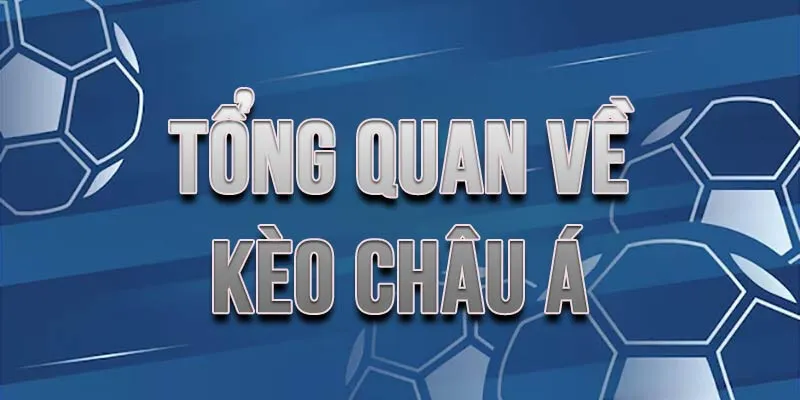 Kèo Châu Á - Hướng Dẫn Cách Đọc Dễ Hiểu Cho Người Mới